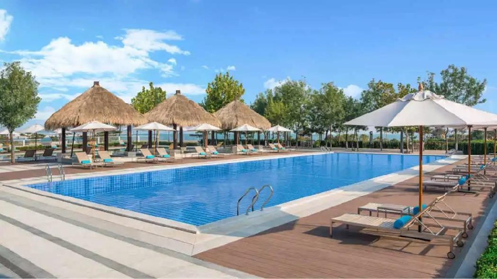 1646815056165990.jpg 1646815056165990.jpg