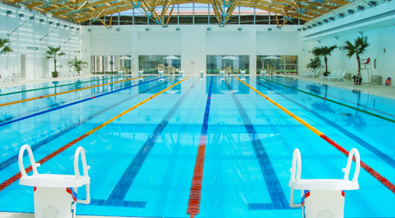 泳池水泵,水泵 泳池水泵,水泵