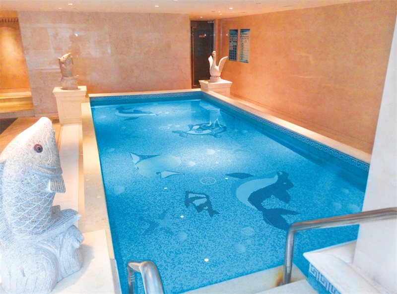 游泳池水處理設備,游泳池設備,壁掛式游泳池水處理設備